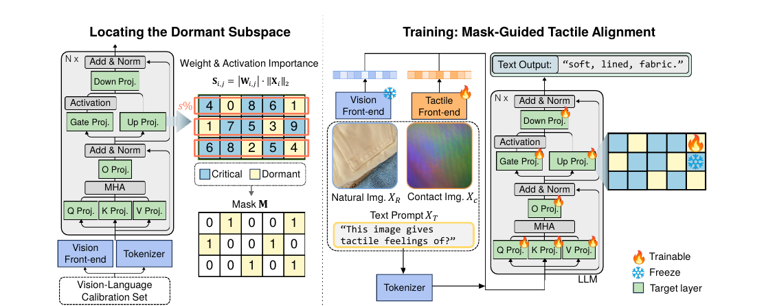 SPLASH framework overview: locating the dormant subspace from weight and activation importance, then mask-guided tactile alignment training.